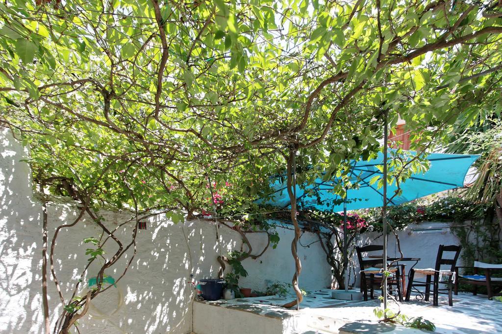 To Spitaki Apartments Galaxídhion Extérieur photo